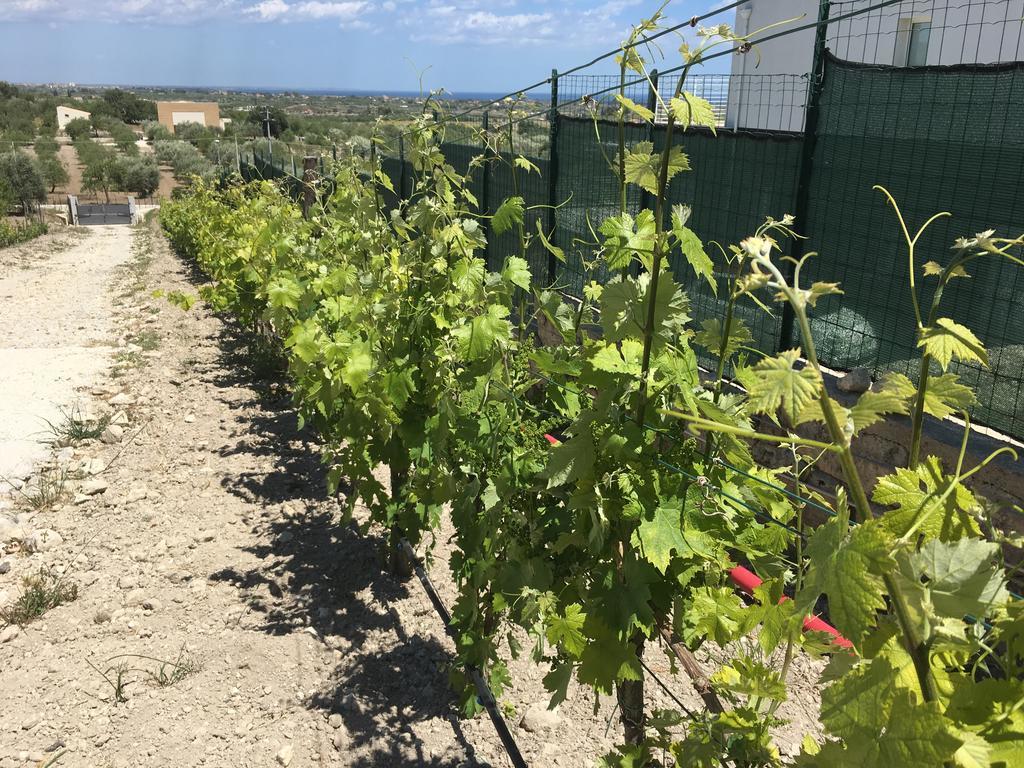 Agriturismoeloropizzuta Lido di Noto Buitenkant foto